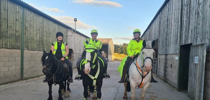 Horse owners and riders