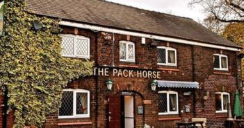 pack horse