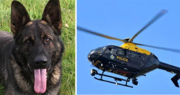 police dog