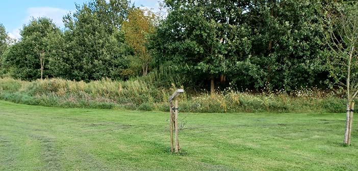 longbarn park