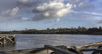jetty