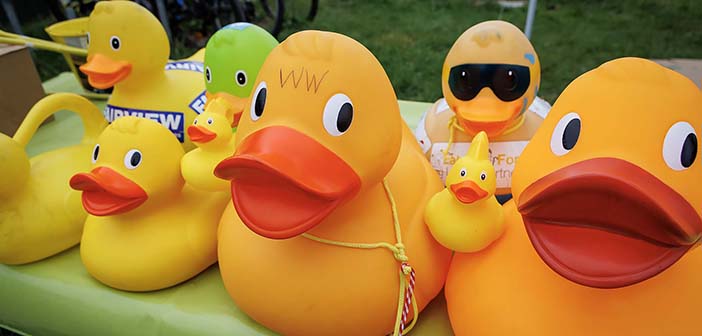 ducks
