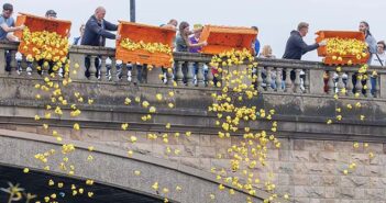 duck race