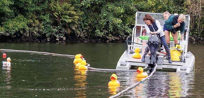 ducks