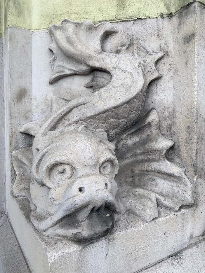 stone fish