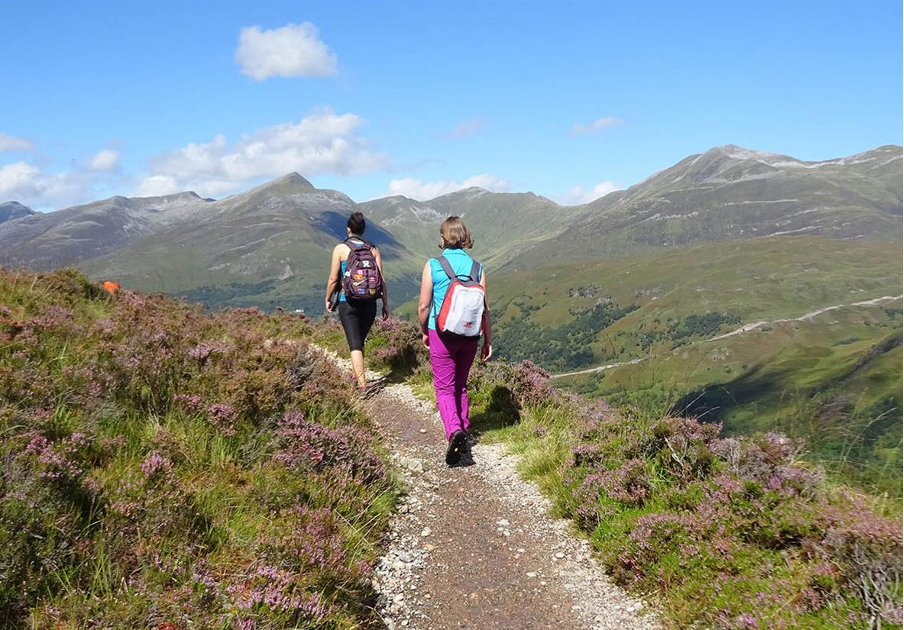 west highland