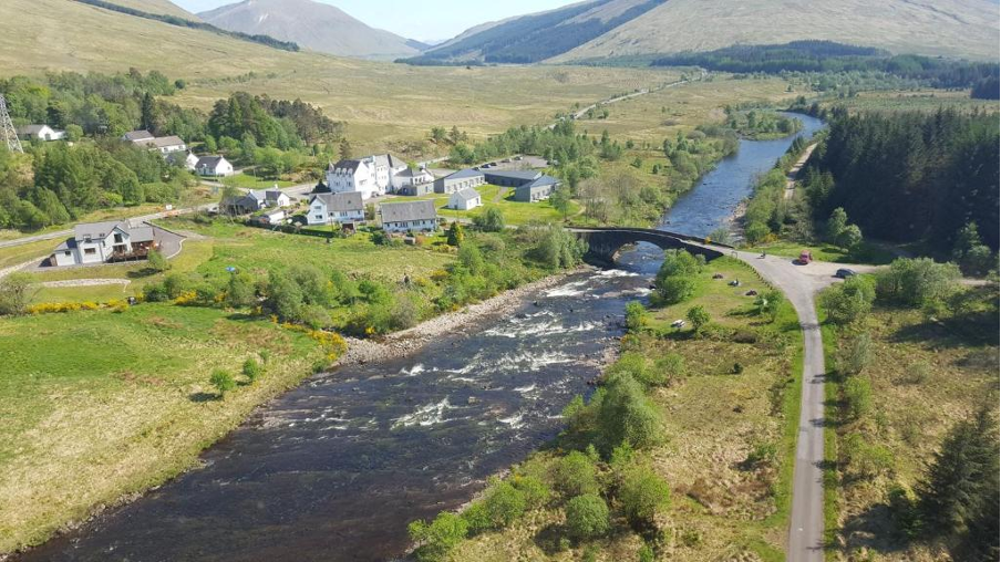 west highland