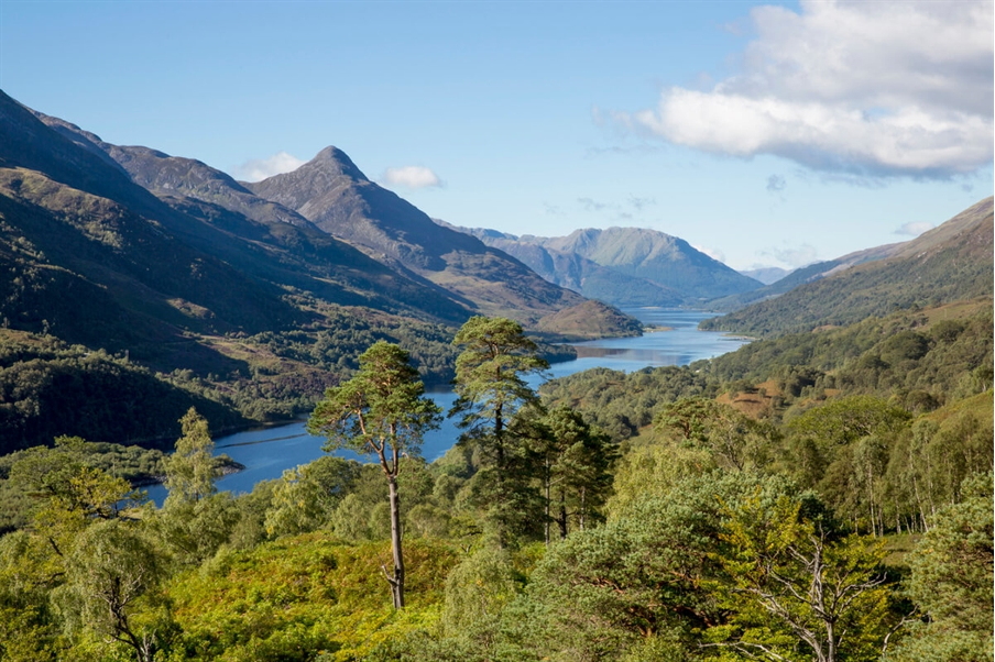 west highland