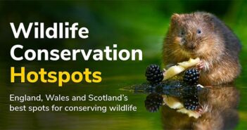 conservation