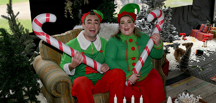 elf experience