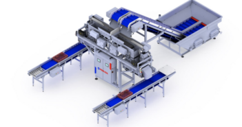 fish processing