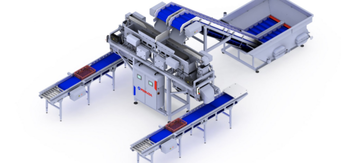 fish processing