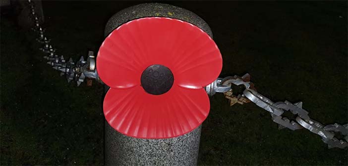 poppies