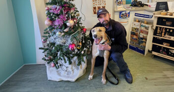 RSPCA Warrington