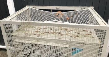 Vandalism and anti-social behaviour