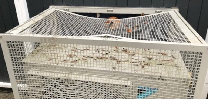 Vandalism and anti-social behaviour