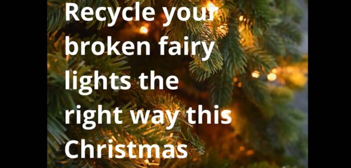 christmas lights