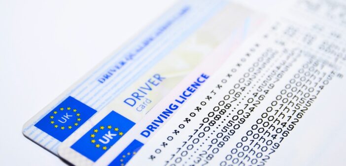 driver's license translation
