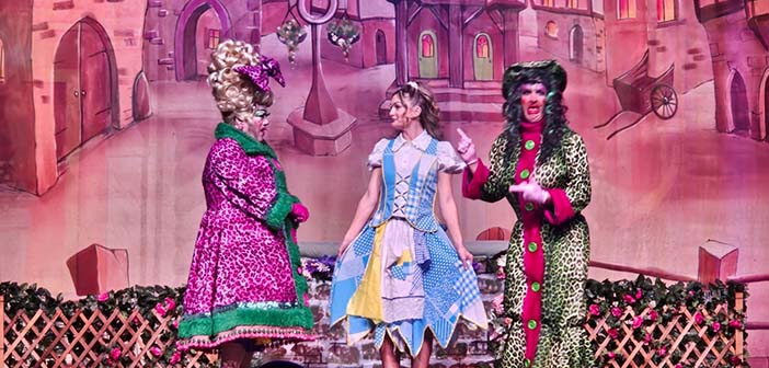 ugly sisters
