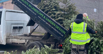 Christmas tree collection