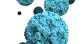 norovirus
