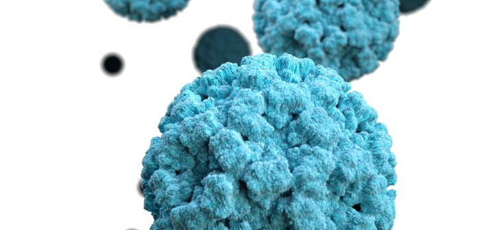norovirus