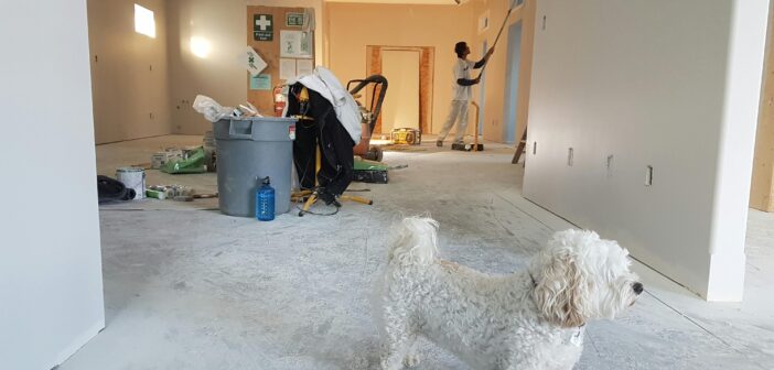 home improvement projects