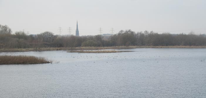 Woolston Eyes