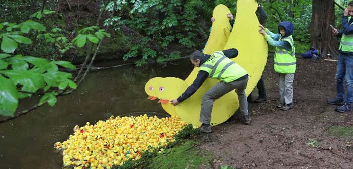 Lymm Duck Race