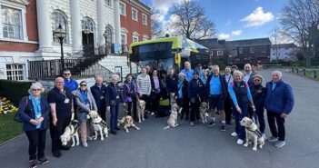 guide dog puppies
