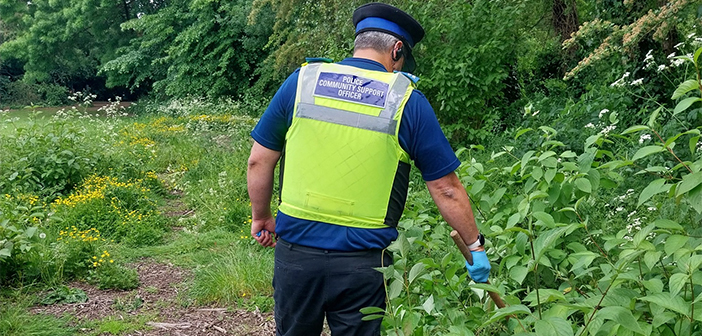 knife crime
