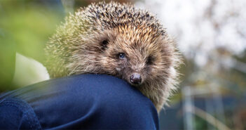 RSPCA