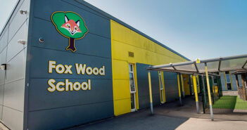 Fantastic Fox Wood