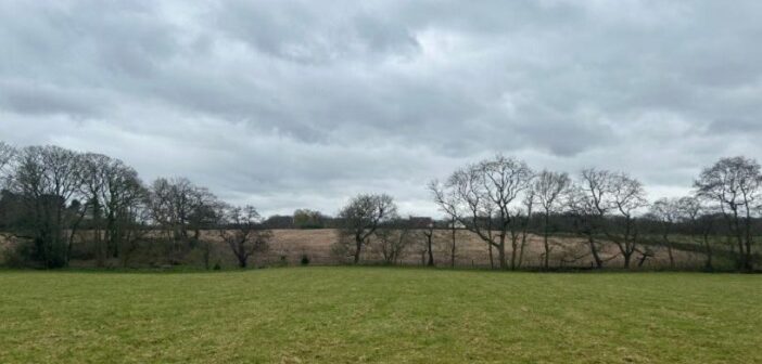 green belt solar farm
