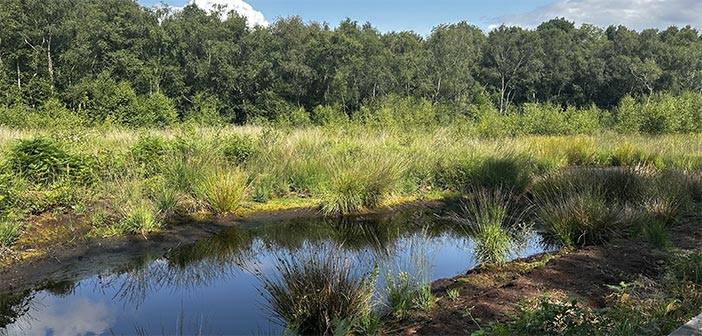 nature reserve