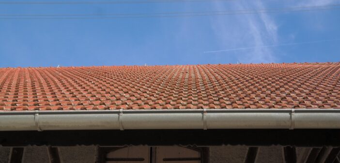 professional gutter cleaners