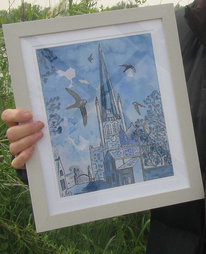 swifts