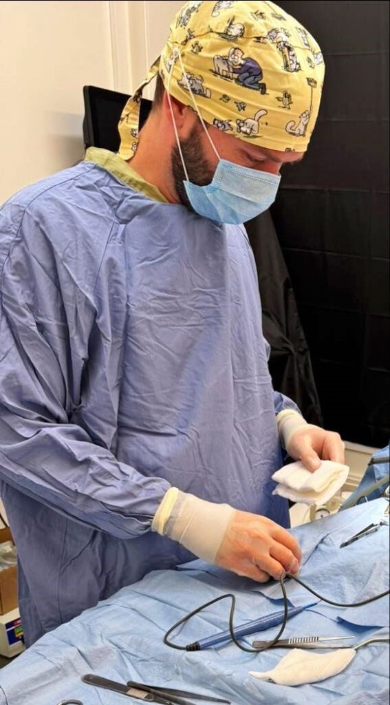 Vet Simon