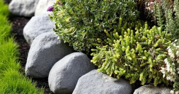 gardening society