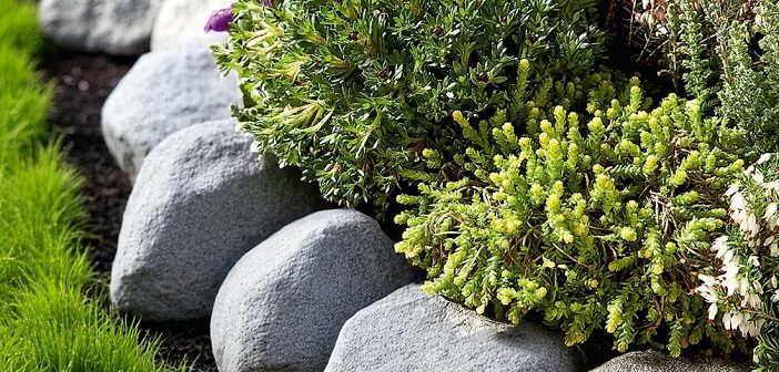 Gardening society to be given an introduction to alpine plants