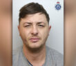 fraudster