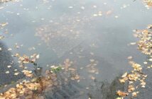 flooding