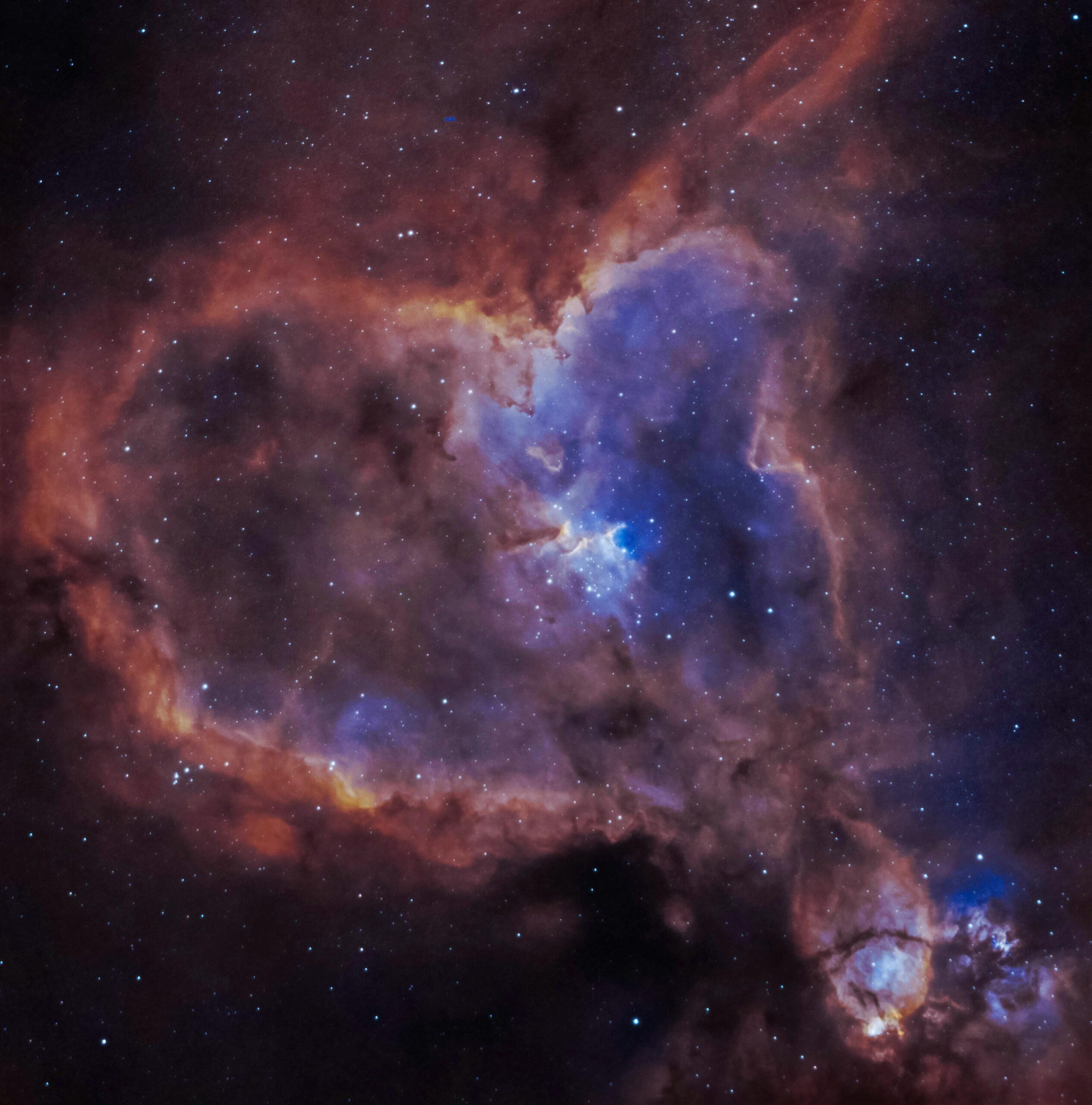 heart