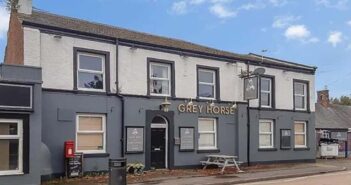 Grey Horse