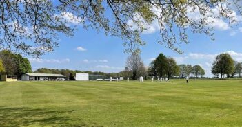 cricket