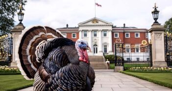 turkey
