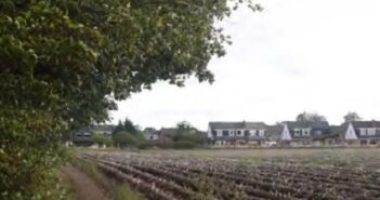 green belt