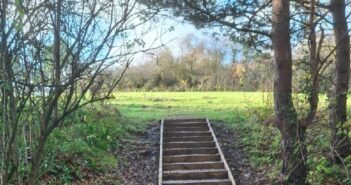 The 19 steps