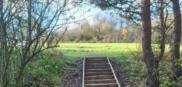 The 19 steps