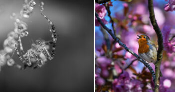 young photography